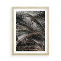 Plakat w ramie 50x70 - Liściaste Palmy - palmy, drzewa palmowe - rama drewno