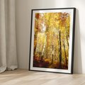 Plakat w ramie 30x40 - Jesienny Las - Kolorowa Paleta Natury - jesień, drzewa - rama czarna