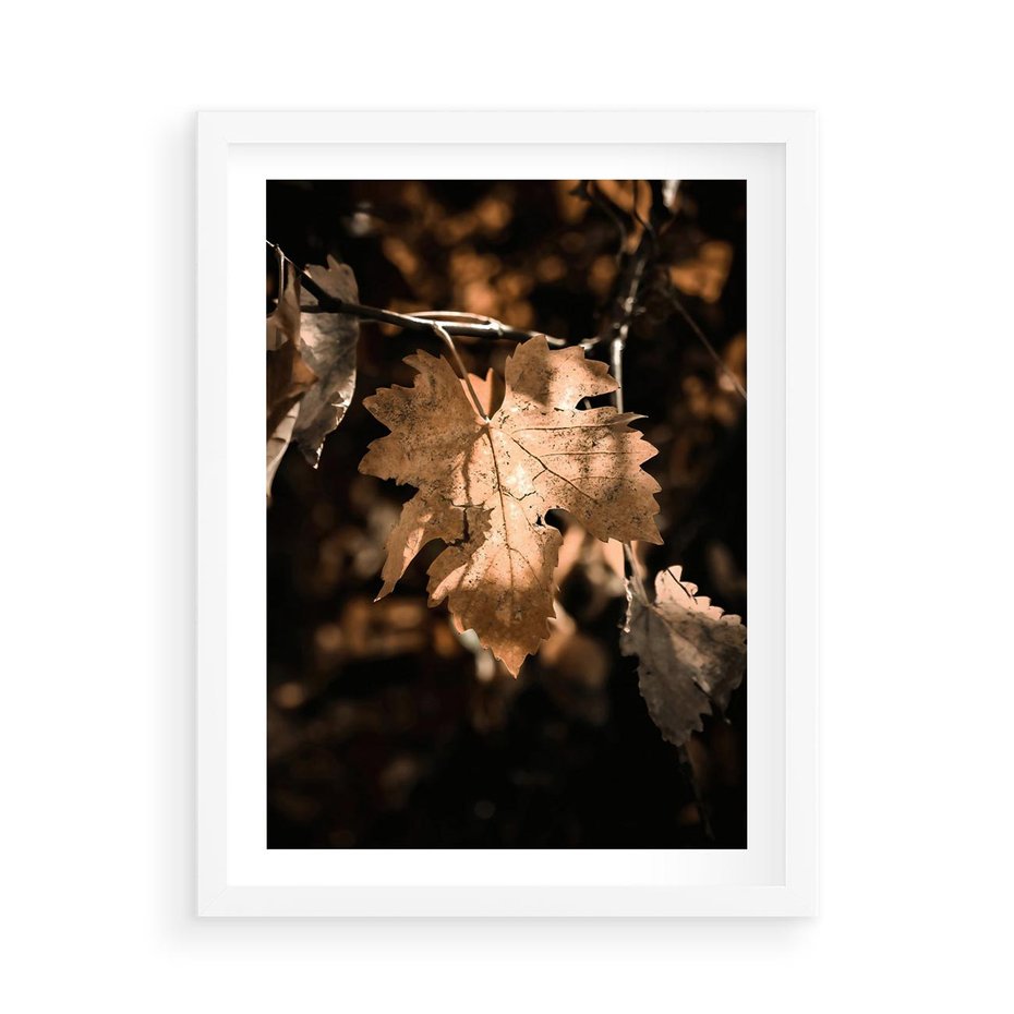 Plakat w ramie 50x70 - Uroczy Liść na Drzewie - jesienny liść, żółty liść na drzewie - rama biała