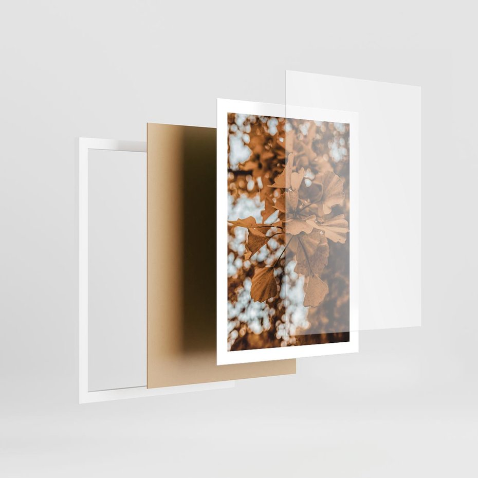 Plakat w ramie 50x70 - Nostalgiczny Miłorząb - miłorząb, liście - rama biała