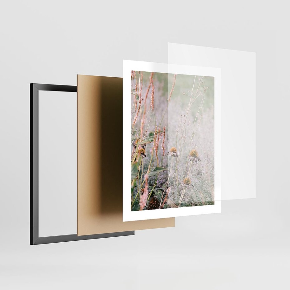 Plakat w ramie 40x50 - Przyroda w Pełnym Blasku: Kolorowa łąka z Kwiatami - łąka, kwiaty na łące - rama czarna