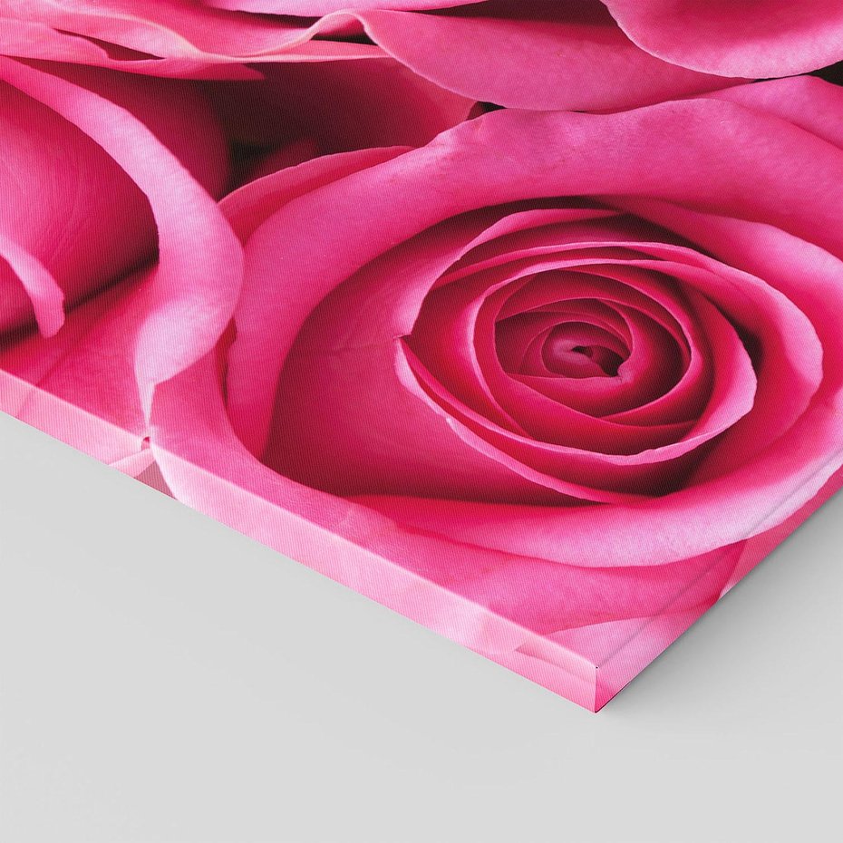 Obraz na płótnie 100x70 - Romantyczne róże w pełnym rozkwicie - róże, kwiaty