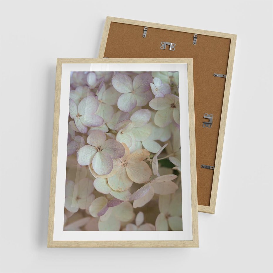 Plakat w ramie 50x70 - Kwiatowy taniec - kwiaty, hortensje - rama drewno