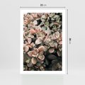 Plakat bez ramy 21x30 - Sukulentowa Prostota - sukulenty, zielone liście