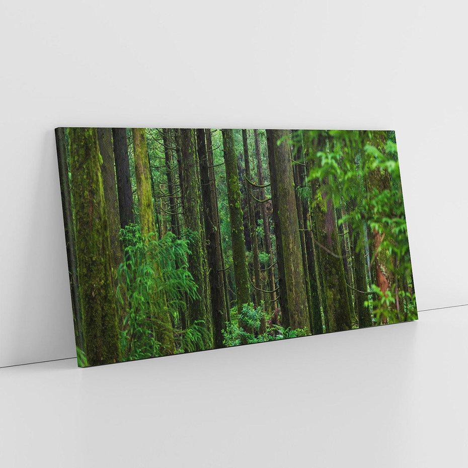 Obraz na płótnie 120x60 - Mistyka leśnej głuszy - las, drzewa