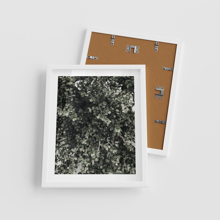 Plakat w ramie 40x50 - Jasnozielone Liście i Gałązki - liście, gałązki - rama biała