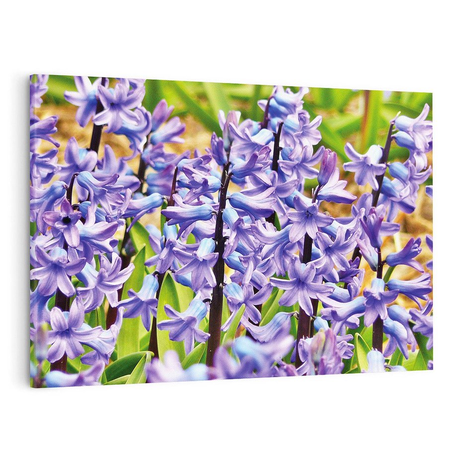 Obraz na płótnie 100x70 - Kwiatowy wibrant piękno natury - kwiat, kwiaty