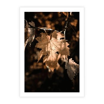 Plakat bez ramy 21x30 - Uroczy Liść na Drzewie - jesienny liść, żółty liść na drzewie