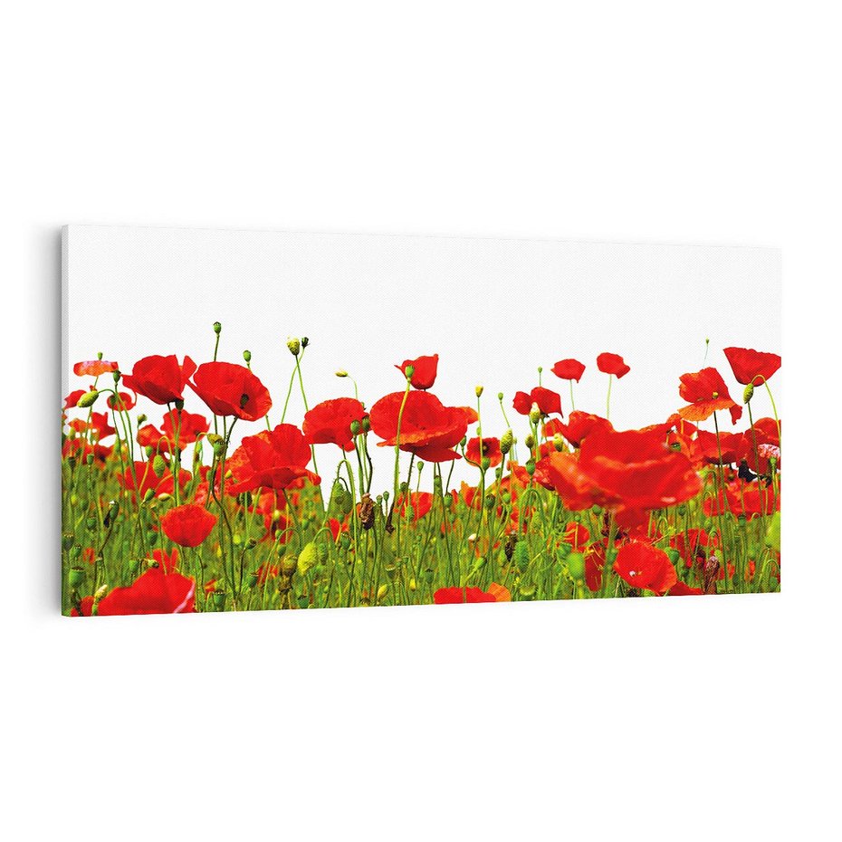 Obraz na płótnie 100x50 - Bujne maki na malowniczej łące - mak, maki