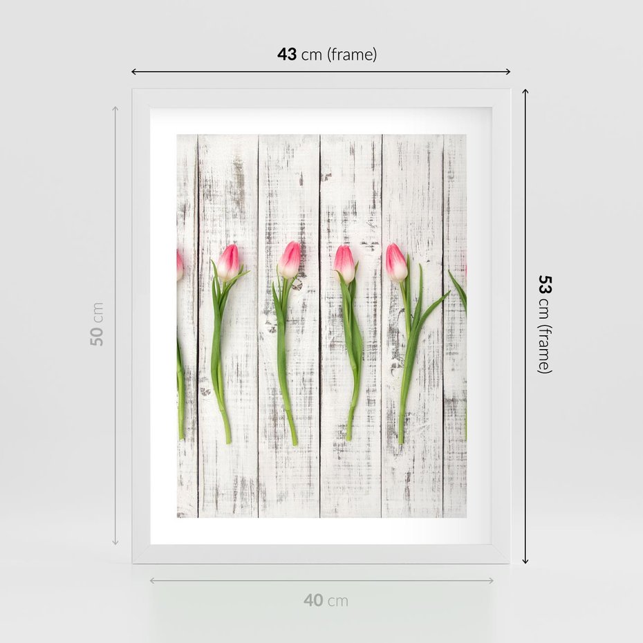 Plakat w ramie 40x50 - Kwintesencja Piękna - kwiaty, tulipany - rama biała