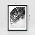 Plakat w ramie 30x40 - Czarno-Biały Kontrast - czarno białe zdjecie, palma - rama czarna