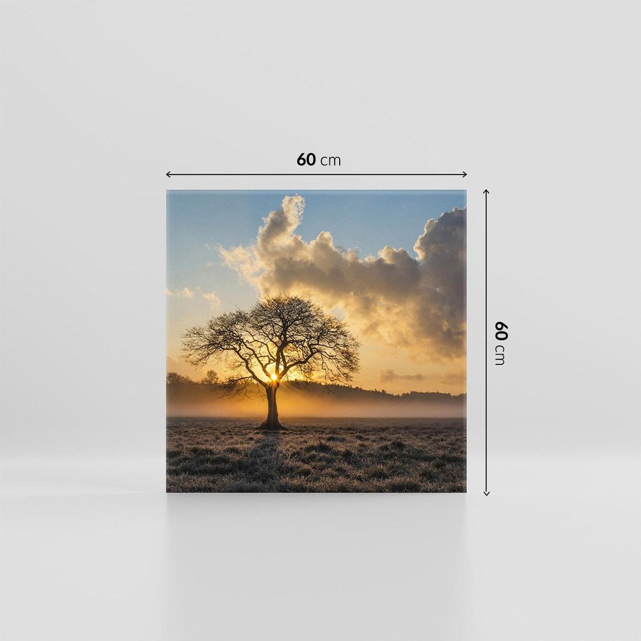 Obraz na płótnie 60x60 - Drzewo w mgle: Piękno jesiennego poranka - drzewo, mgła