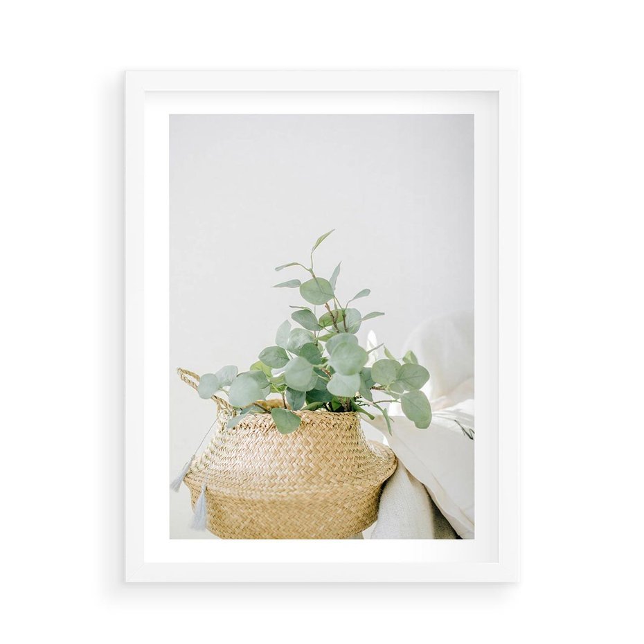 Plakat w ramie 50x70 - Eukaliptusowa Świeżość - eukaliptus, liście w koszu z wikliny - rama biała