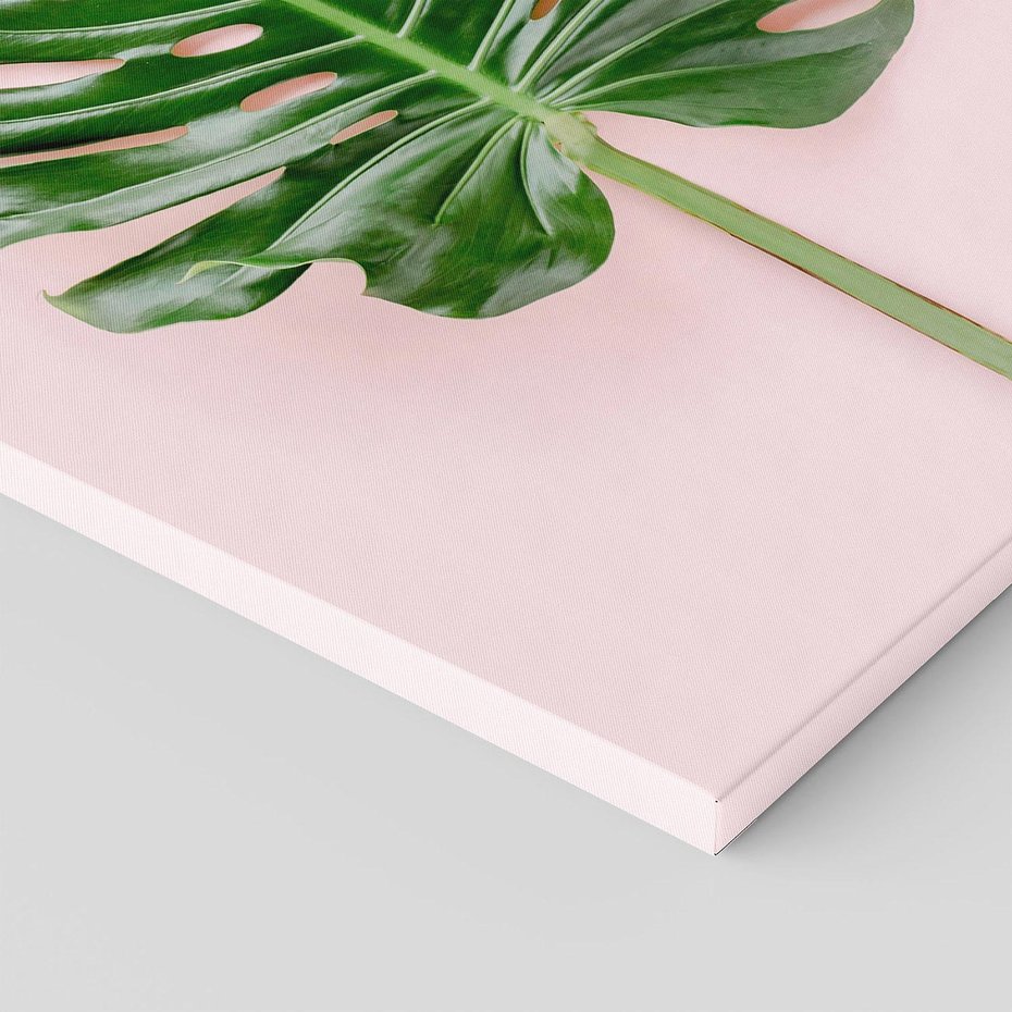 Obraz na płótnie 70x100 - Egzotyczna Roślinność - liście, monstera