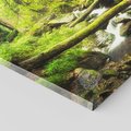 Obraz na płótnie 80x80 - Magiczny Strumień w Lesie - strumień, las