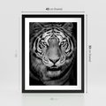 Plakat w ramie 40x50 - Tygrys Czarno-Biały: Siła i Delikatność - tygrys, czarno - rama czarna