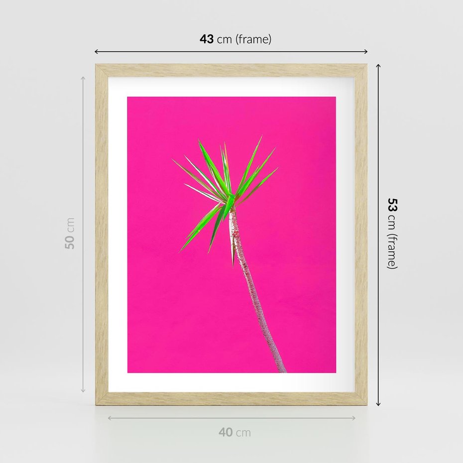 Plakat w ramie 40x50 - Retro Stylizacja - palma, liście - rama drewno