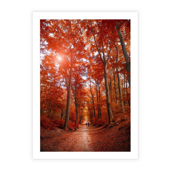 Plakat bez ramy 21x30 - Magia jesiennego lasu - las, jesień