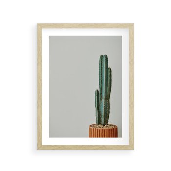 Plakat w ramie 30x40 - Zieleń i Subtelność - kaktusy, liście - rama drewno