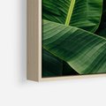 Obraz w ramie 100x70 - Zaklęta roślinna ekspresja - liście bananowca, gęsto ułożone - rama drewno