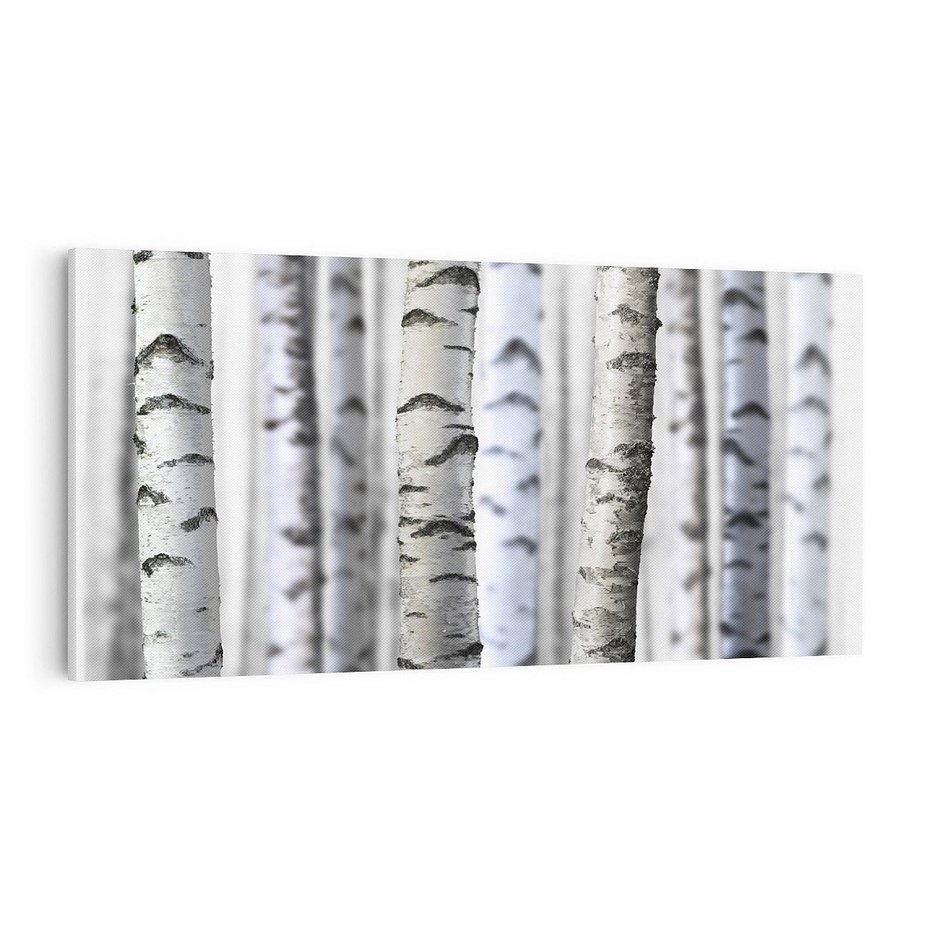 Obraz na płótnie 100x50 - Delikatność brzóz - brzozy, las