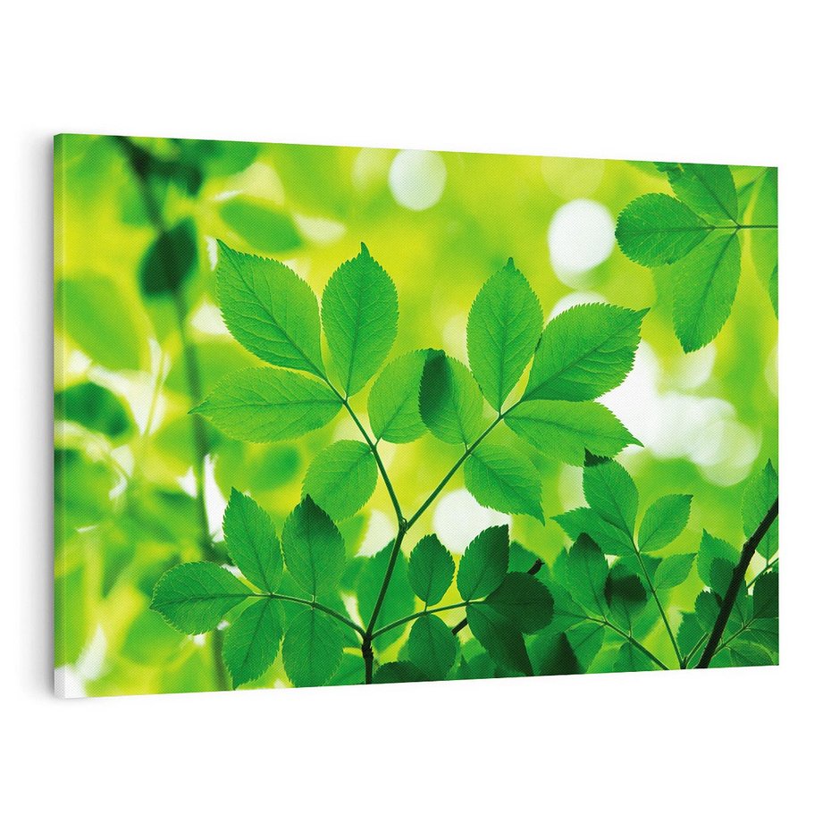 Obraz na płótnie 120x80 - Magia liści - liście, drzewo