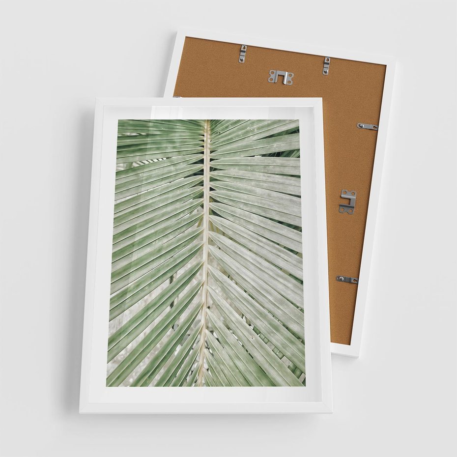Plakat w ramie 50x70 - Jasna Zieleń Palmy - liść palmy, zbliżenie - rama biała