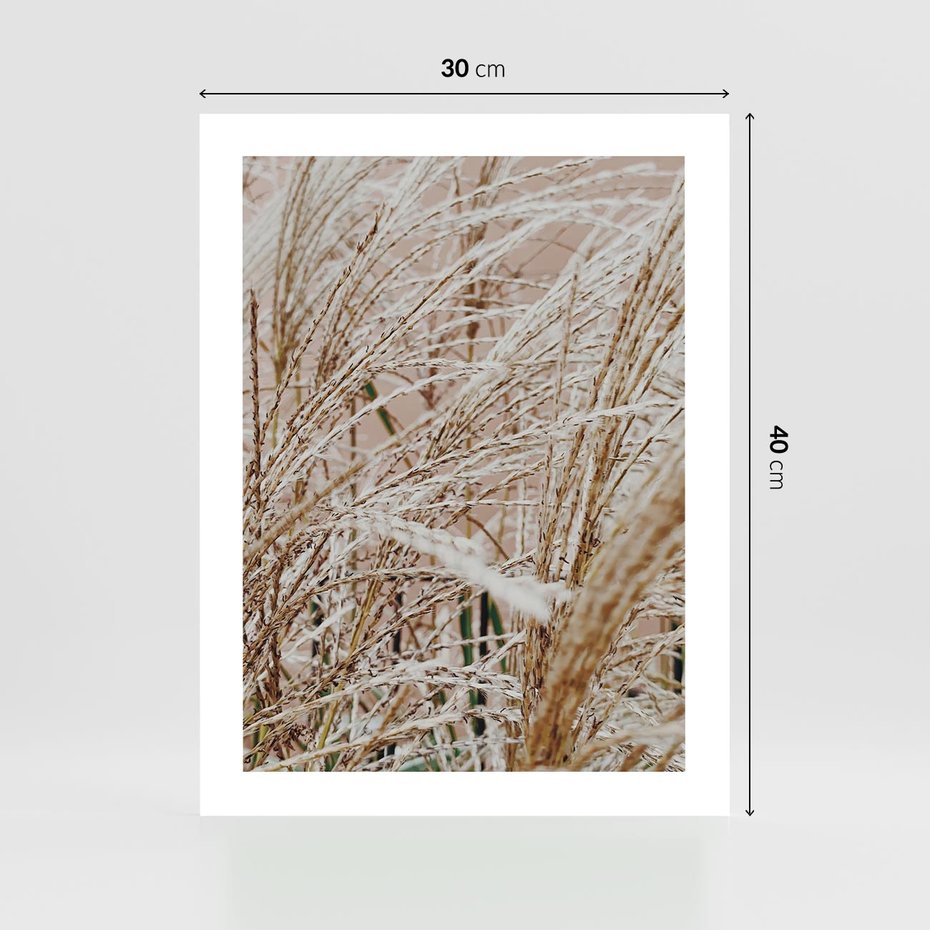 Plakat bez ramy 30x40 - Beżowa Trawa - suche trawy, zbliżenie