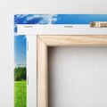 Obraz na płótnie 80x80 - Idylla na łące drzew - łąka, drzewa