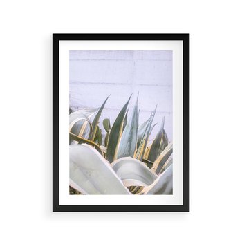 Plakat w ramie 40x50 - Sukulentowe liście - liście, sukulenty - rama czarna