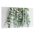 Obraz na płótnie 120x80 - Uwodzicielska zieleń eukaliptusa - eukaliptus, zielone