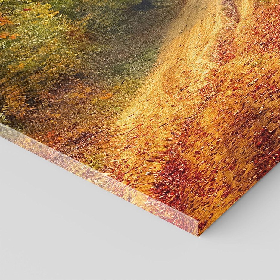 Obraz na płótnie 50x70 - Jesienny urok magia lasu - las, jesień