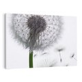 Obraz na płótnie 70x50 - Lekkość Przemijania - dmuchawiec, makro