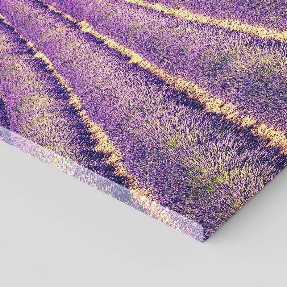 Obraz na płótnie 70x100 - Uroda Lawendy: Kwiatowy Cud Natury - lawenda, kwiaty