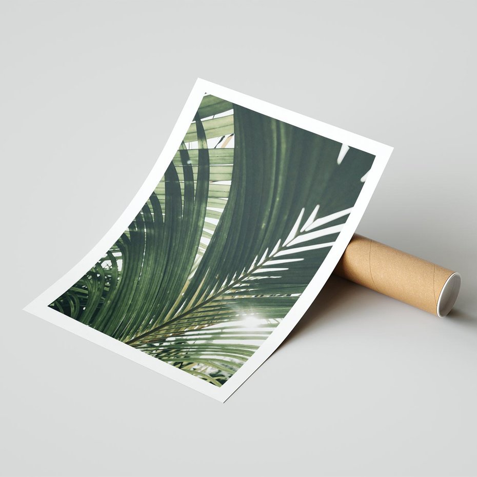 Plakat bez ramy 21x30 - Tropikalne Uroki: Palmy i Zielone Liście - palmy, zielone liście