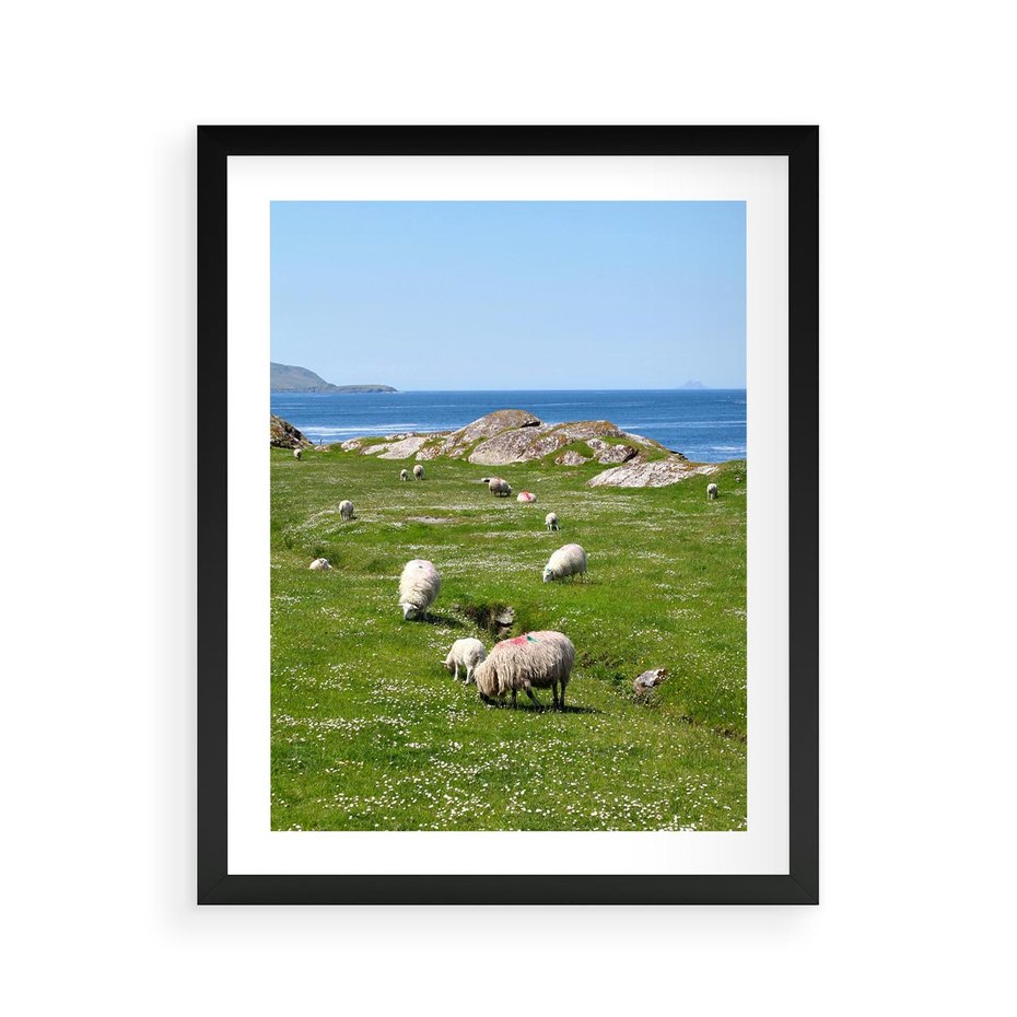 Plakat w ramie 40x50 - Górskie Owce - góry, owce - rama czarna