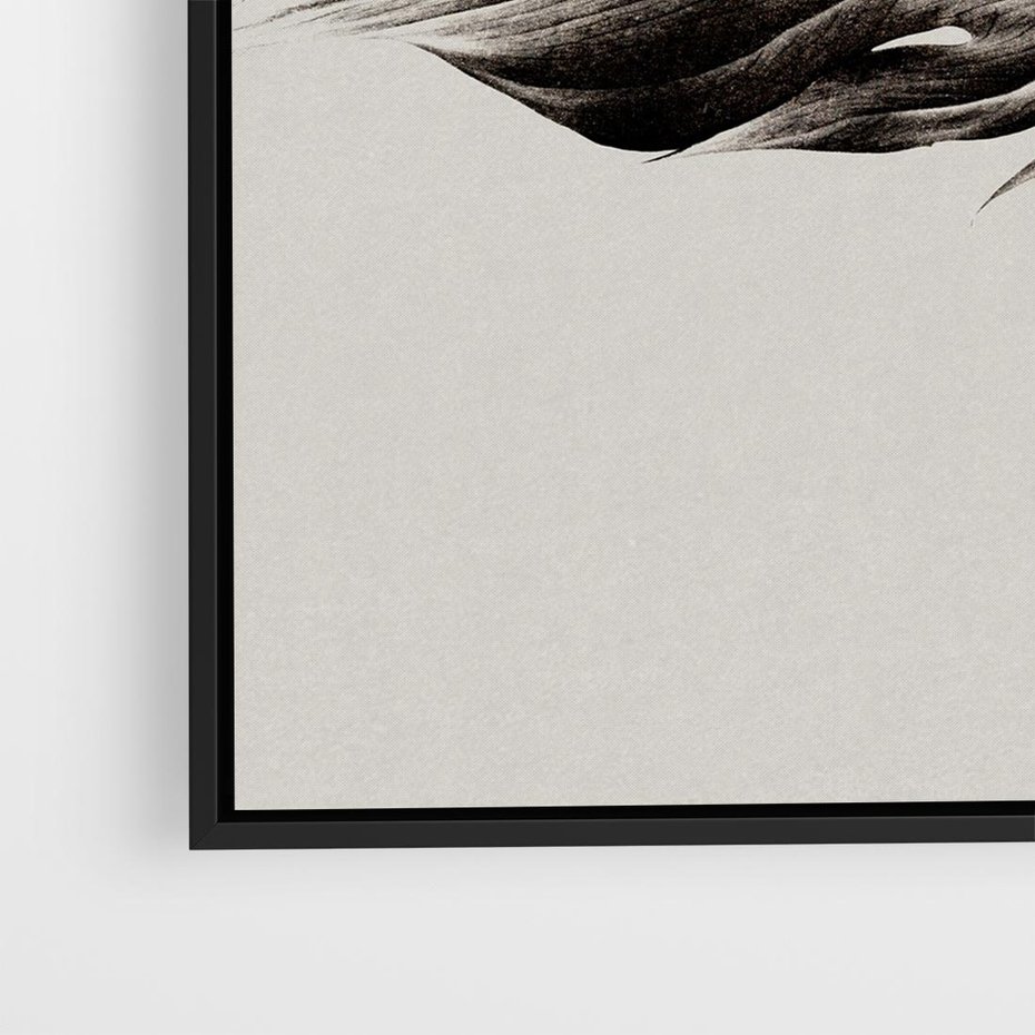 Obraz w ramie 50x50 - Szepczący Liść - szkic, czarno biały - rama czarna