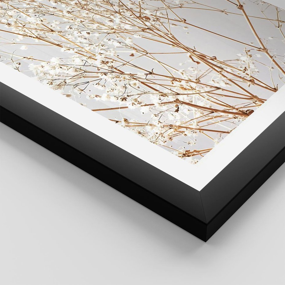 Plakat w ramie 50x70 - Minimalistyczna Delikatność - białe kwiaty, gipsówka - rama czarna