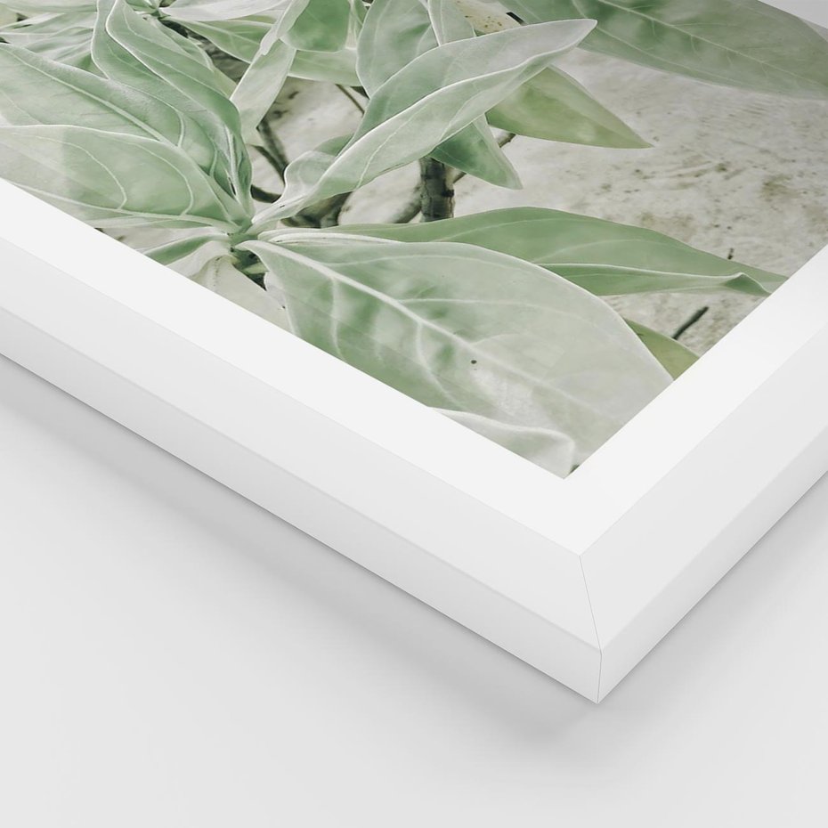 Plakat w ramie 30x40 - Jasnozielone Liście w Kompozycji - liście, jasna zieleń - rama biała