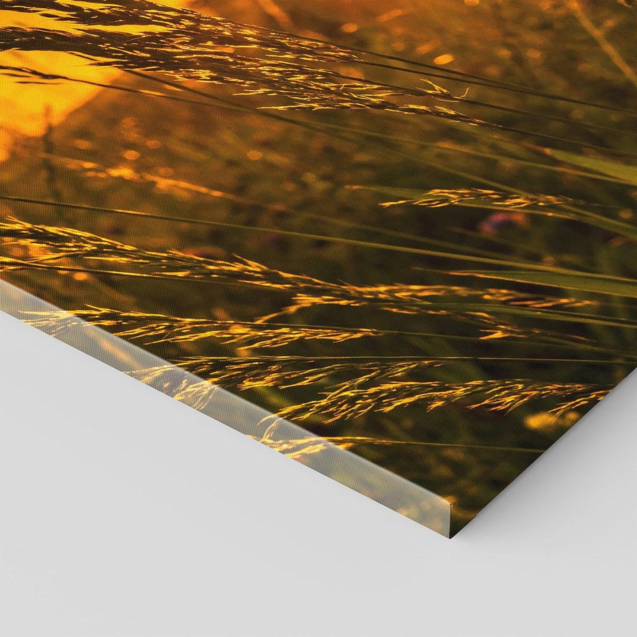 Obraz na płótnie 80x120 - "Zachód Słońca, Łąka - Magiczna Aura - zachód, słońca