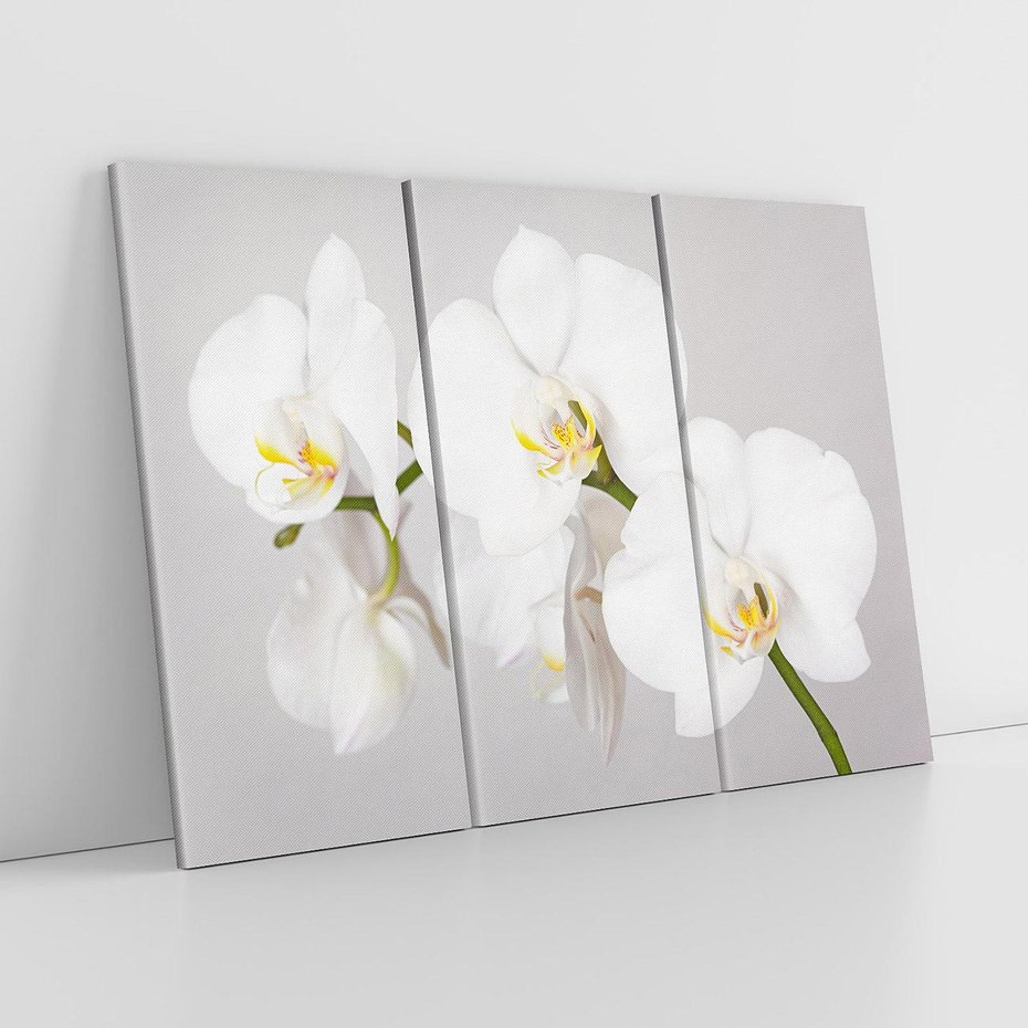 Obraz na płótnie 120x80 - kwiatowy urok - orchidea, kwiat