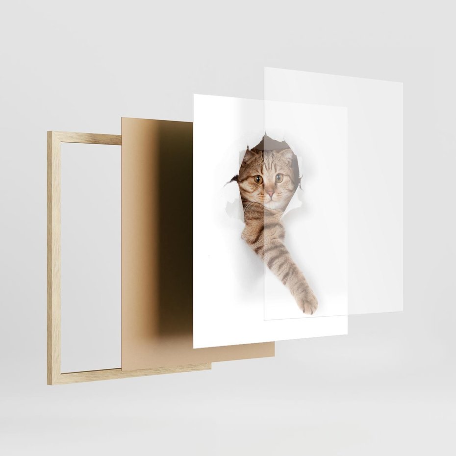 Plakat w ramie 40x50 - Kot w Dziurze - kot, dziura - rama drewno