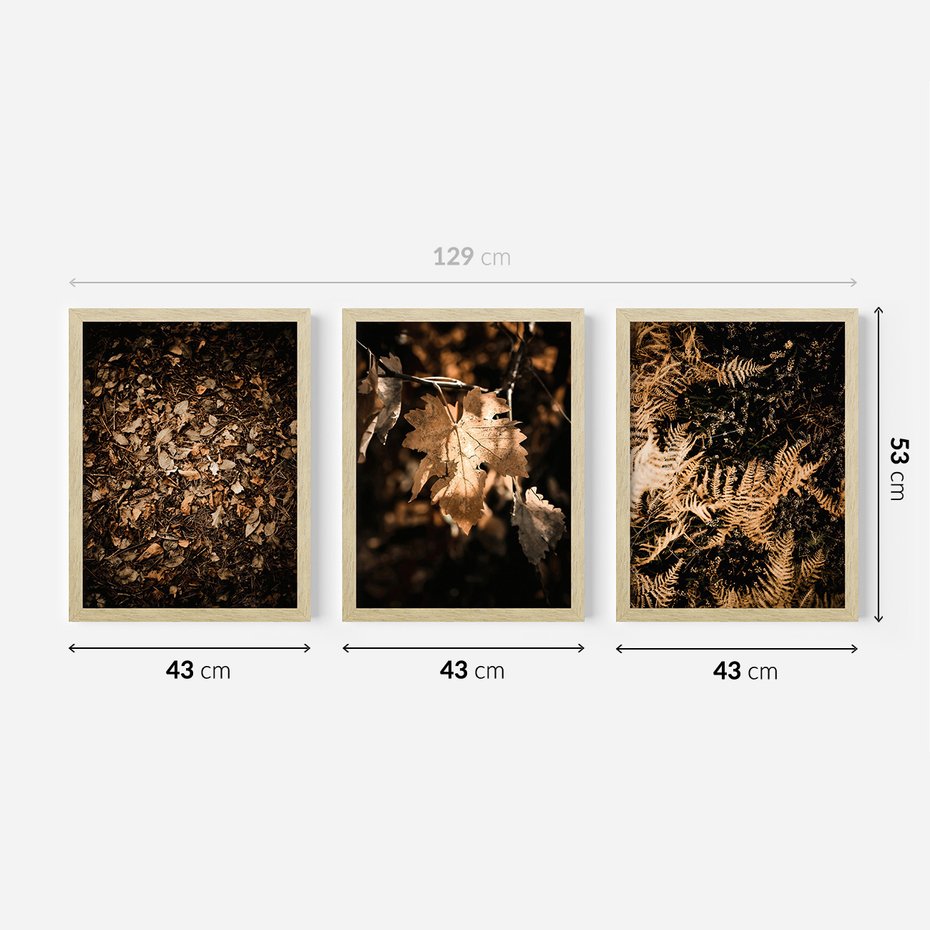 Zestaw obrazy w ramie 40x50 galeria - Suche, jesienne, liście, las - rama drewno