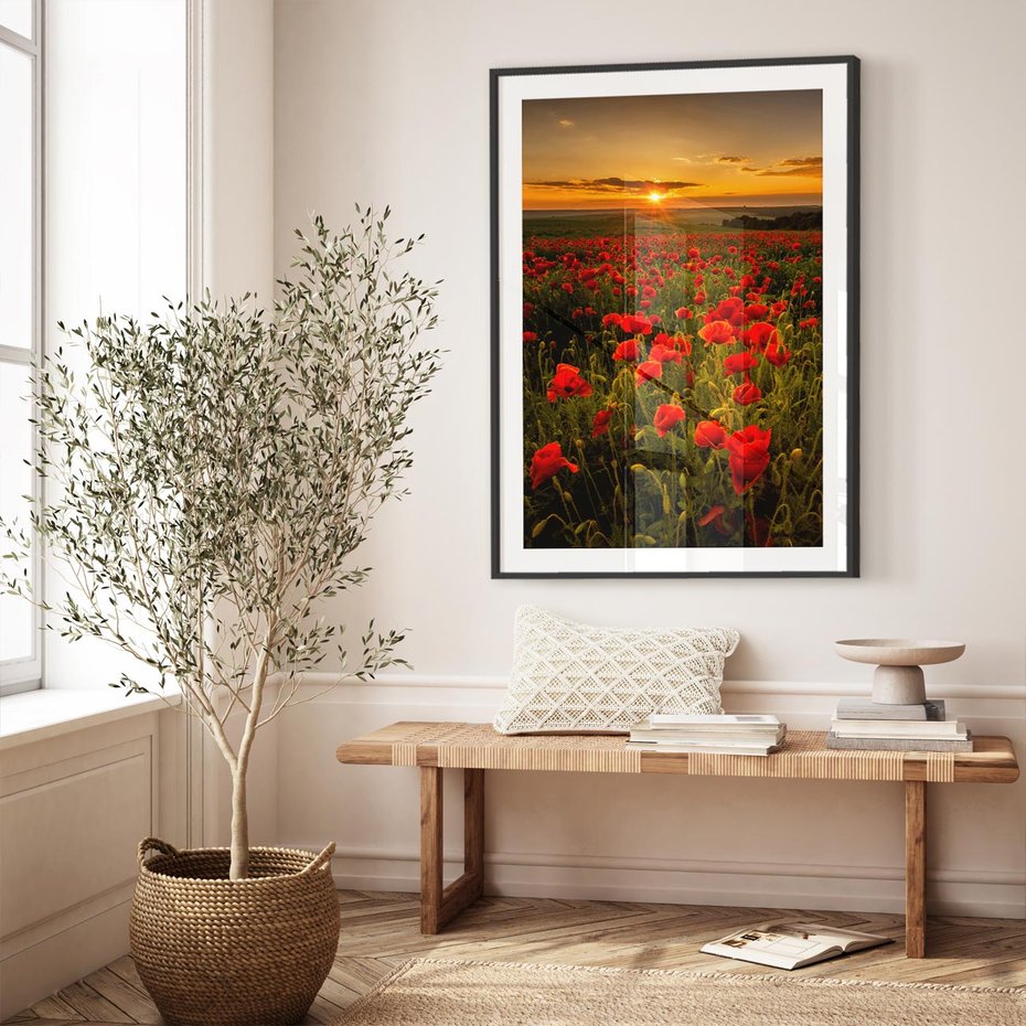 Plakat bez ramy 40x50 - Maki przy zachodzie słońca - maki, zachód