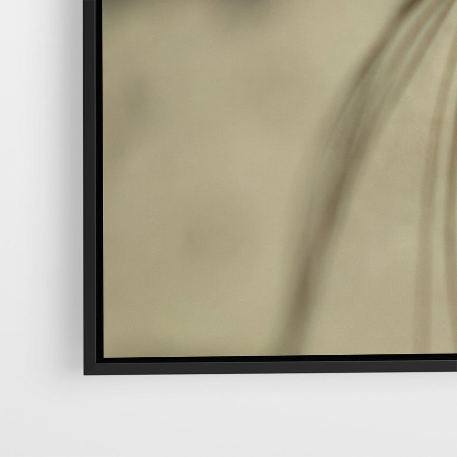 Obraz w ramie 70x50 - Delikatność dmuchawców - dmuchawce, krople - rama czarna