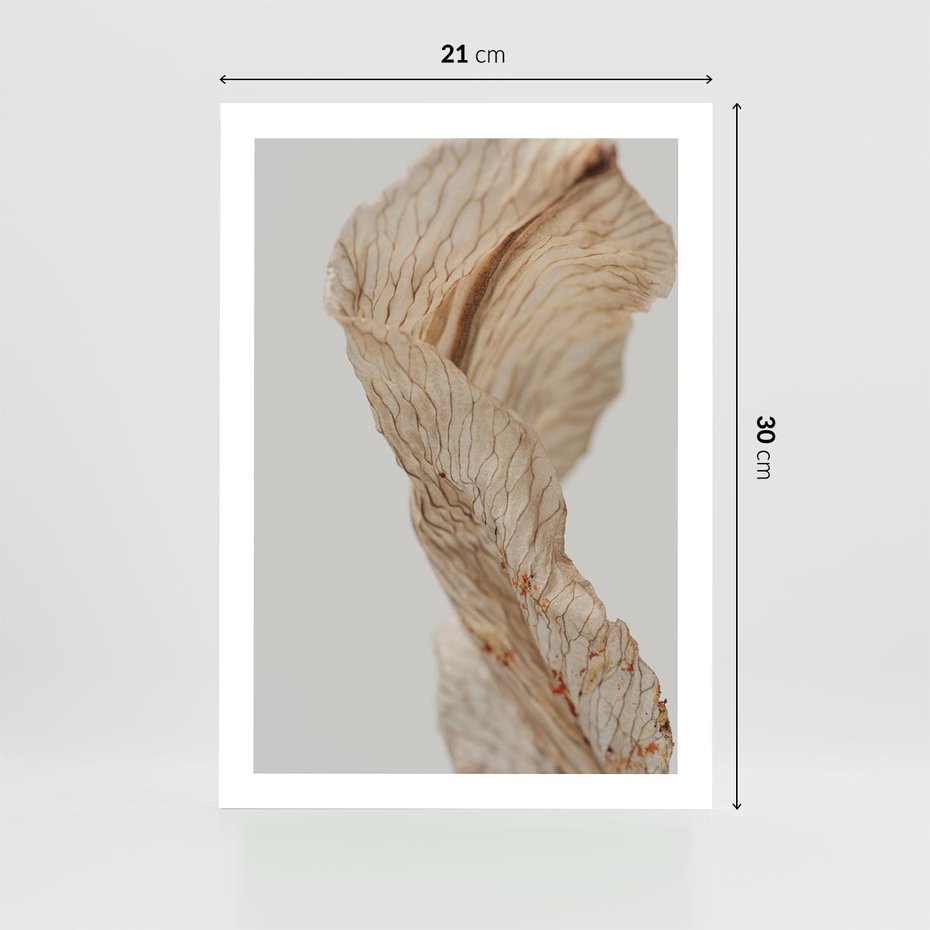 Plakat bez ramy 21x30 - Suszone piękno - susz, suche