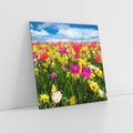 Obraz na płótnie 60x60 - tulipany na łące - kwiaty, tulipany