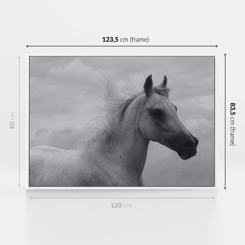 Obraz w ramie 120x80 - Moc i Wolność - czarno biała fotografia, biały - rama biała