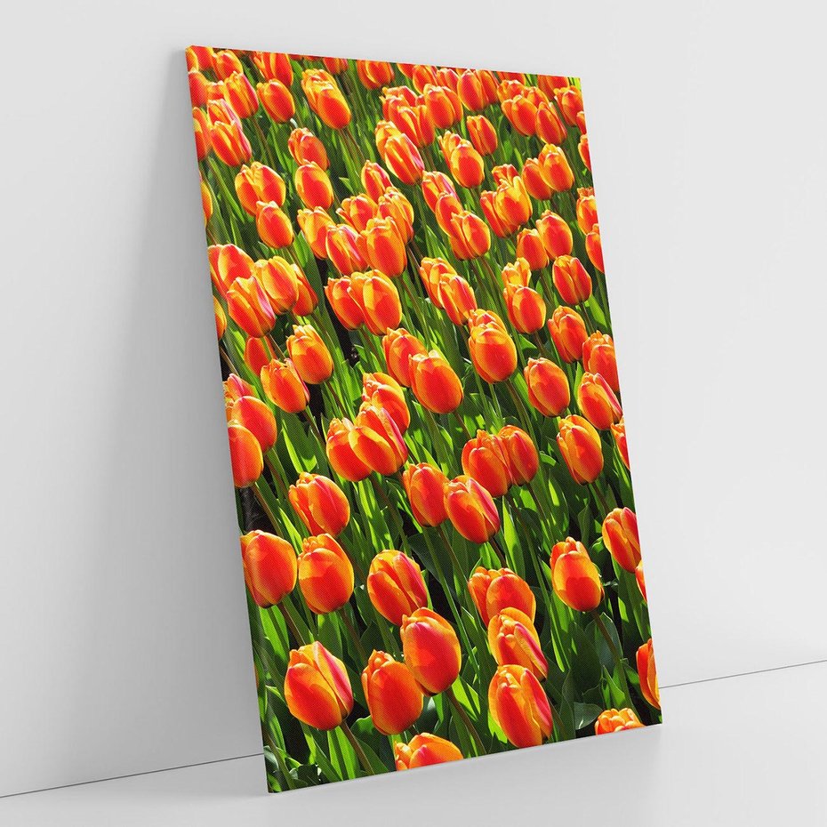 Obraz na płótnie 80x120 - Tulipanowa eksplozja - tulipany, kwiaty