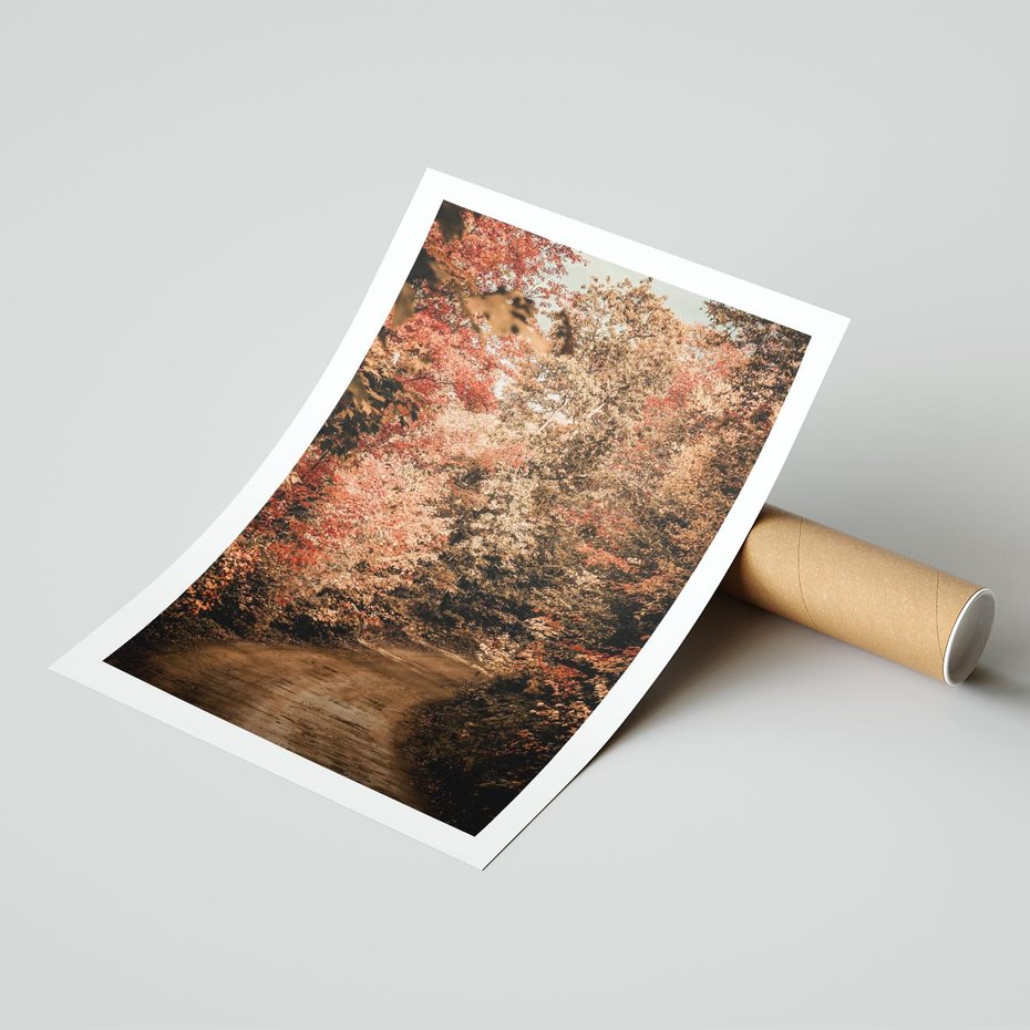 Plakat bez ramy 21x30 - Obraz przedstawia jesienne drzewa i czerwone liście na ścieżce w lesie. Ta sceneria doskonale oddaje urok i kolorystykę jesieni w lesie. - las, jesień